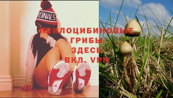 мескалин Козловка