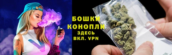 сатива Корсаков
