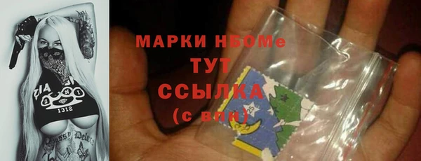 прущий лед Костерёво