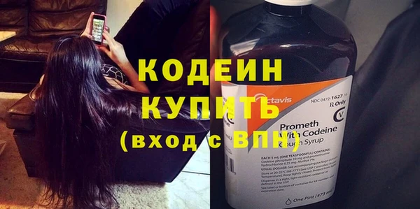 сатива Корсаков