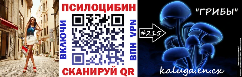 Купить  Камбарка  Псилоцибиновые грибы MAGIC MUSHROOMS 